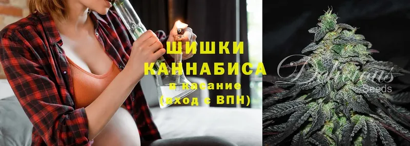 Каннабис SATIVA & INDICA  закладки  Галич 